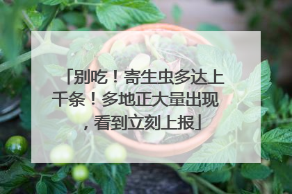 别吃！寄生虫多达上千条！多地正大量出现，看到立刻上报