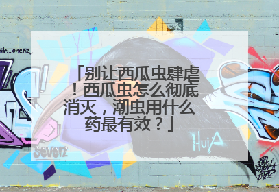 别让西瓜虫肆虐！西瓜虫怎么彻底消灭，潮虫用什么药最有效？