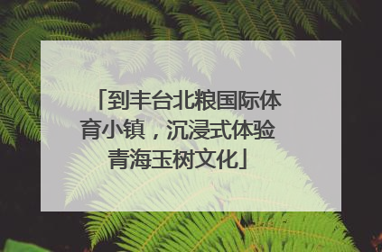 到丰台北粮国际体育小镇，沉浸式体验青海玉树文化
