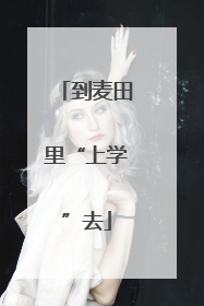 到麦田里“上学”去