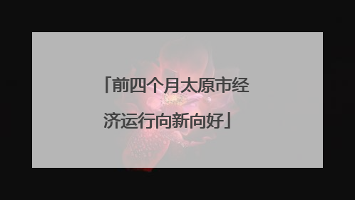 前四个月太原市经济运行向新向好