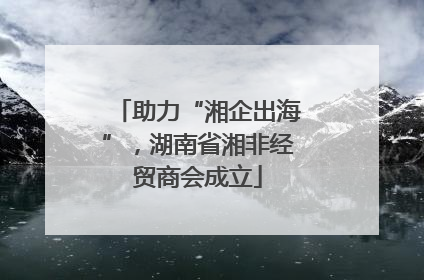 助力“湘企出海”，湖南省湘非经贸商会成立