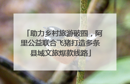 助力乡村旅游破圈，阿里公益联合飞猪打造多条县域文旅爆款线路