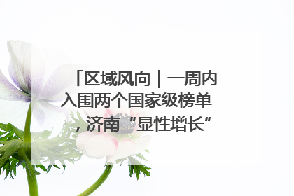 区域风向｜一周内入围两个国家级榜单，济南“显性增长”刷新城市影响力