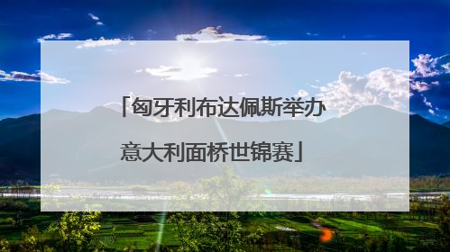 匈牙利布达佩斯举办意大利面桥世锦赛