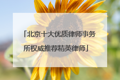 北京十大优质律师事务所权威推荐精英律师