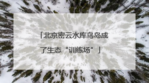 北京密云水库鸟岛成了生态“训练场”