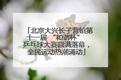 北京大兴长子营镇第十一届 “和谐杯” 乒乓球大赛圆满落幕，全民运动热潮涌动