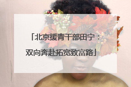 北京援青干部田宁：双向奔赴拓宽致富路