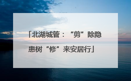 北湖城管：“剪”除隐患树“修”来安居行