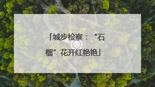 城步检察：“石榴”花开红艳艳