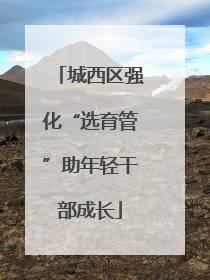 城西区强化“选育管”助年轻干部成长