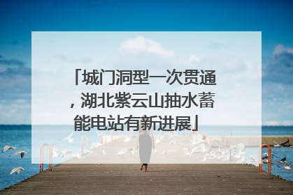 城门洞型一次贯通，湖北紫云山抽水蓄能电站有新进展