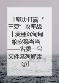 坚决打赢“三夏”攻坚战丨麦穗沉甸甸 粮安稳当当——省委一号文件系列解读①