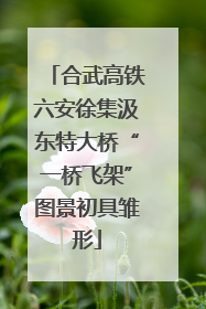 合武高铁六安徐集汲东特大桥“一桥飞架”图景初具雏形