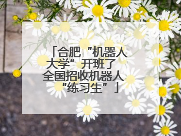 合肥“机器人大学”开班了 全国招收机器人“练习生”