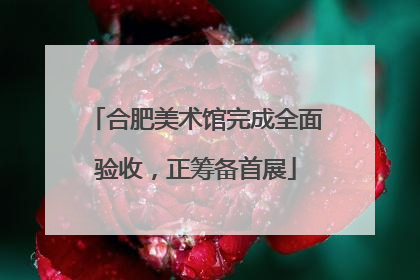 合肥美术馆完成全面验收，正筹备首展