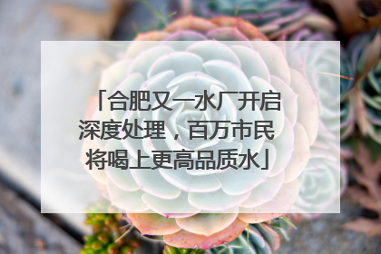 合肥又一水厂开启深度处理，百万市民将喝上更高品质水