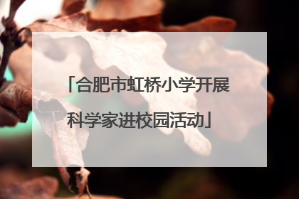 合肥市虹桥小学开展科学家进校园活动
