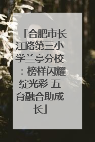 合肥市长江路第三小学兰亭分校:榜样闪耀绽光彩 五育融合助成长