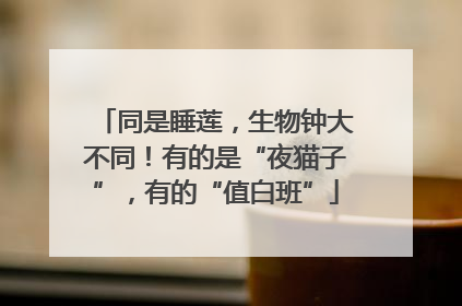 同是睡莲，生物钟大不同！有的是“夜猫子”，有的“值白班”