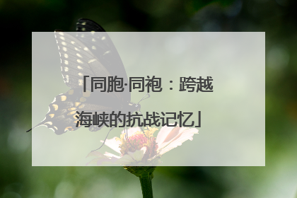 同胞·同袍：跨越海峡的抗战记忆