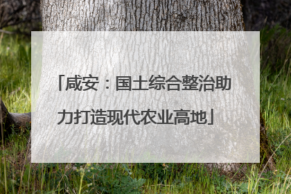 咸安：国土综合整治助力打造现代农业高地