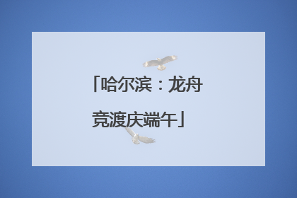 哈尔滨：龙舟竞渡庆端午