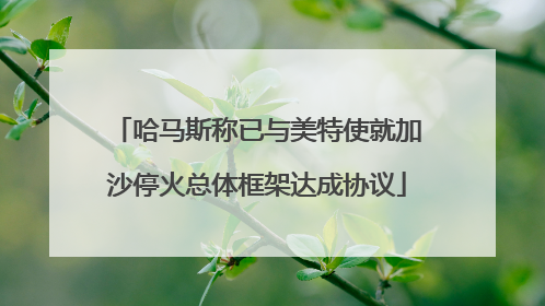 哈马斯称已与美特使就加沙停火总体框架达成协议