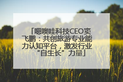 嗯噢哇科技CEO窦飞鹏：共创旅游专业能力认知平台，激发行业“自生长”力量