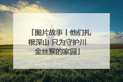 图片故事丨他们扎根深山 只为守护川金丝猴的家园