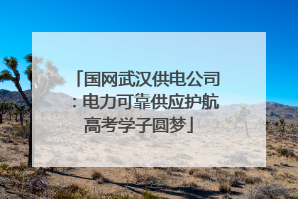 国网武汉供电公司：电力可靠供应护航高考学子圆梦