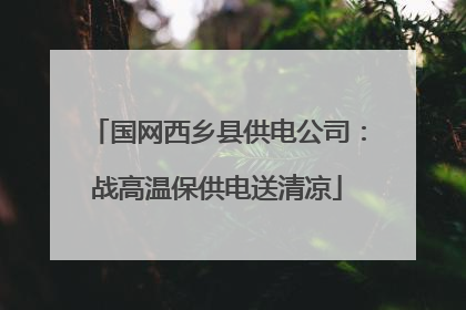 国网西乡县供电公司：战高温保供电送清凉