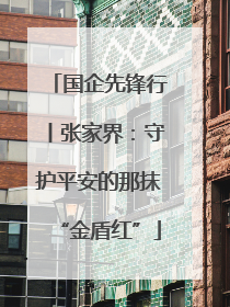国企先锋行丨张家界：守护平安的那抹“金盾红”
