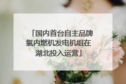 国内首台自主品牌氢内燃机发电机组在湖北投入运营