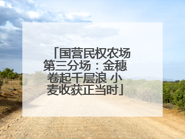 国营民权农场第三分场：金穗卷起千层浪 小麦收获正当时