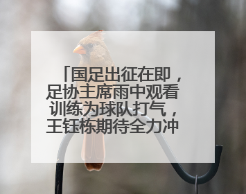 国足出征在即，足协主席雨中观看训练为球队打气，王钰栋期待全力冲击印尼队