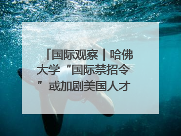 国际观察｜哈佛大学“国际禁招令”或加剧美国人才“出走潮”