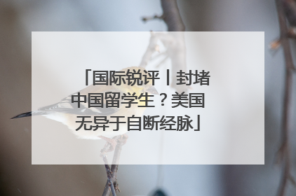 国际锐评丨封堵中国留学生？美国无异于自断经脉