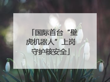 国际首台“壁虎机器人”上岗守护核安全