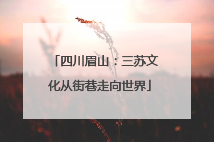 四川眉山：三苏文化从街巷走向世界