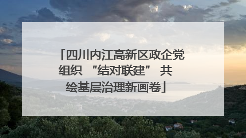 四川内江高新区政企党组织 “结对联建” 共绘基层治理新画卷