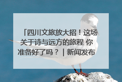 四川文旅放大招！这场关于诗与远方的旅程 你准备好了吗？｜新闻发布最前线·深一度