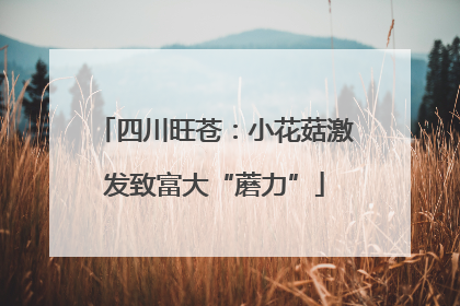 四川旺苍：小花菇激发致富大“蘑力”