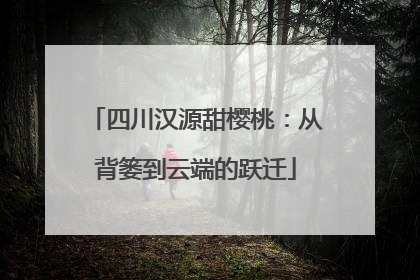 四川汉源甜樱桃：从背篓到云端的跃迁