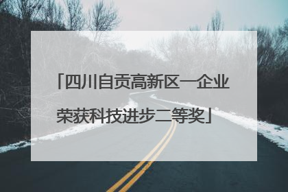 四川自贡高新区一企业荣获科技进步二等奖