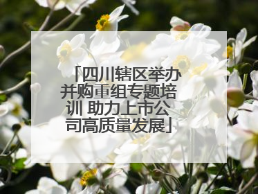 四川辖区举办并购重组专题培训 助力上市公司高质量发展