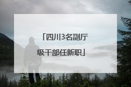 四川3名副厅级干部任新职