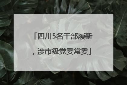 四川5名干部履新，涉市级党委常委