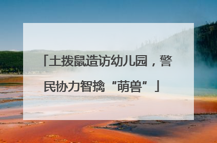 土拨鼠造访幼儿园，警民协力智擒“萌兽”